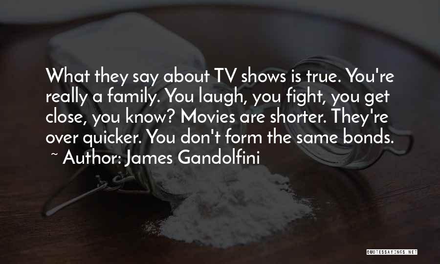 James Gandolfini Quotes: What They Say About Tv Shows Is True. You're Really A Family. You Laugh, You Fight, You Get Close, You