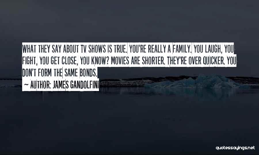 James Gandolfini Quotes: What They Say About Tv Shows Is True. You're Really A Family. You Laugh, You Fight, You Get Close, You