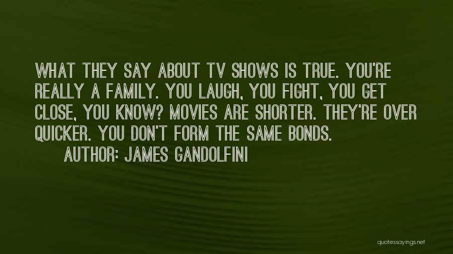 James Gandolfini Quotes: What They Say About Tv Shows Is True. You're Really A Family. You Laugh, You Fight, You Get Close, You