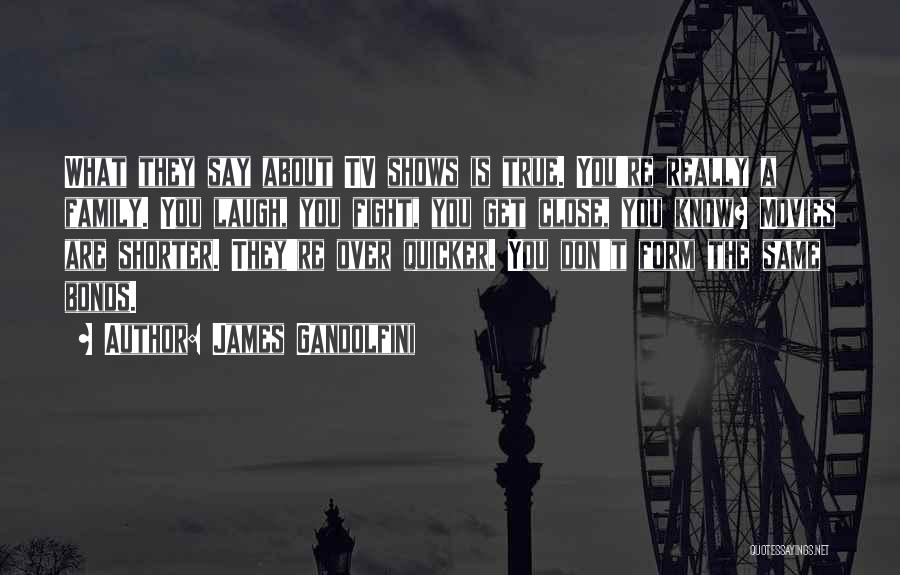 James Gandolfini Quotes: What They Say About Tv Shows Is True. You're Really A Family. You Laugh, You Fight, You Get Close, You