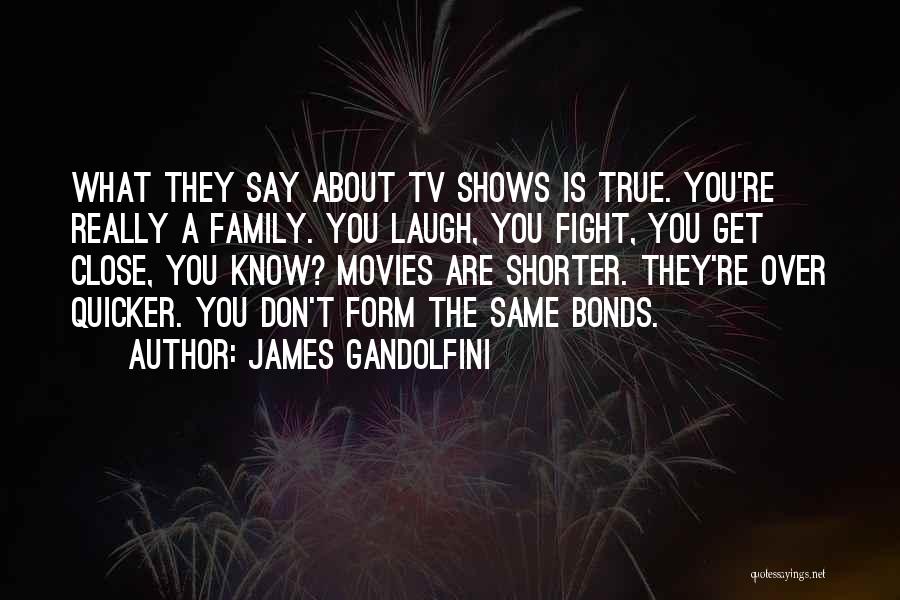 James Gandolfini Quotes: What They Say About Tv Shows Is True. You're Really A Family. You Laugh, You Fight, You Get Close, You