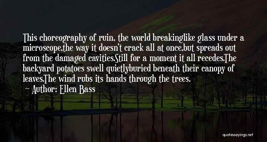 Ellen Bass Quotes: This Choreography Of Ruin, The World Breakinglike Glass Under A Microscope,the Way It Doesn't Crack All At Once,but Spreads Out