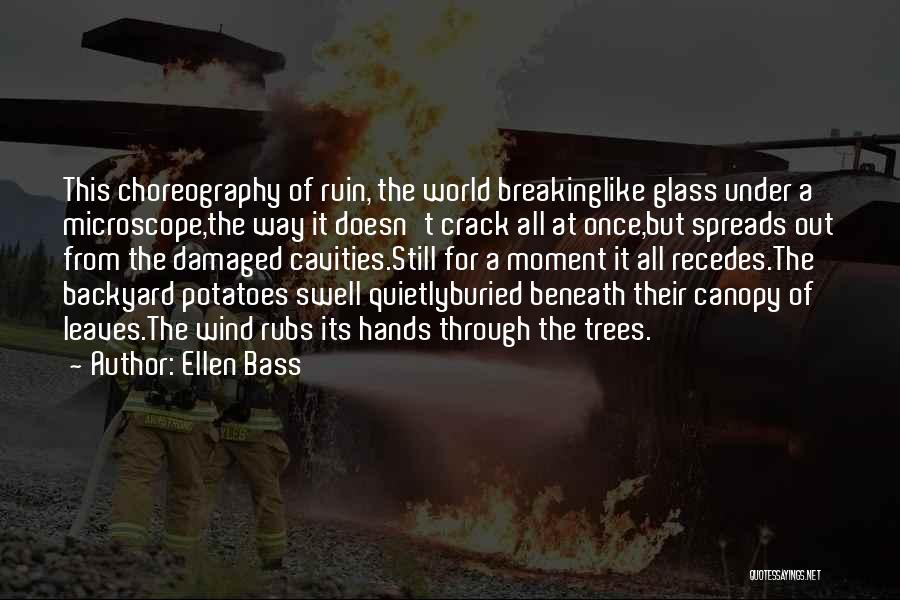 Ellen Bass Quotes: This Choreography Of Ruin, The World Breakinglike Glass Under A Microscope,the Way It Doesn't Crack All At Once,but Spreads Out