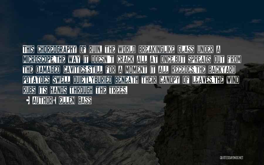 Ellen Bass Quotes: This Choreography Of Ruin, The World Breakinglike Glass Under A Microscope,the Way It Doesn't Crack All At Once,but Spreads Out