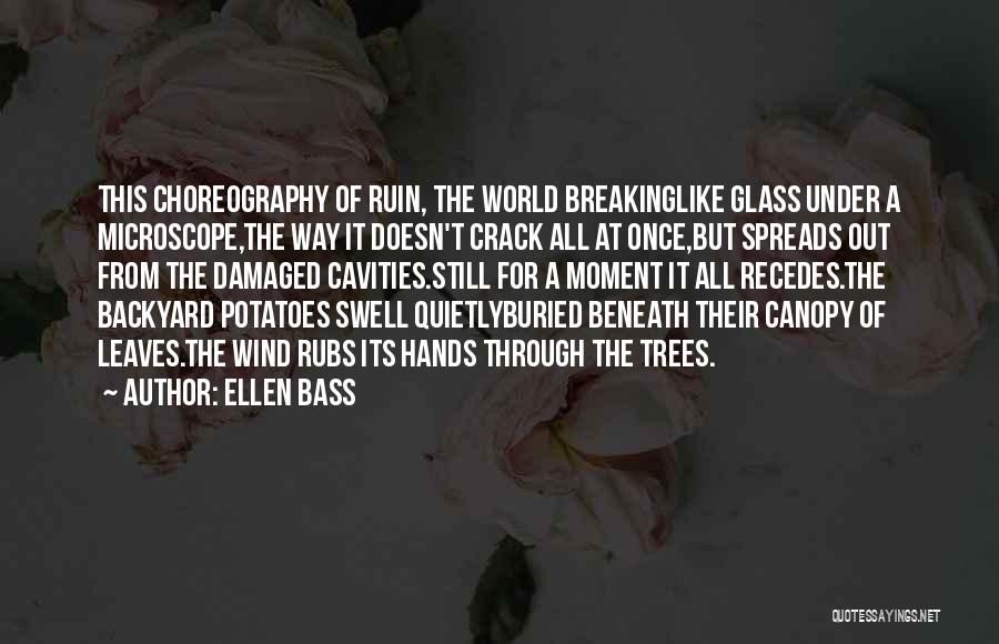 Ellen Bass Quotes: This Choreography Of Ruin, The World Breakinglike Glass Under A Microscope,the Way It Doesn't Crack All At Once,but Spreads Out