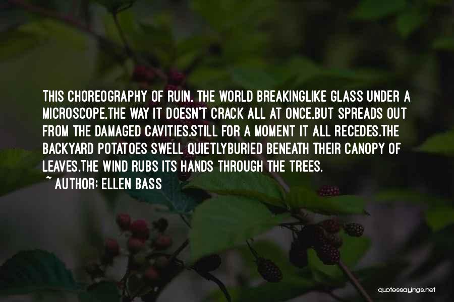 Ellen Bass Quotes: This Choreography Of Ruin, The World Breakinglike Glass Under A Microscope,the Way It Doesn't Crack All At Once,but Spreads Out