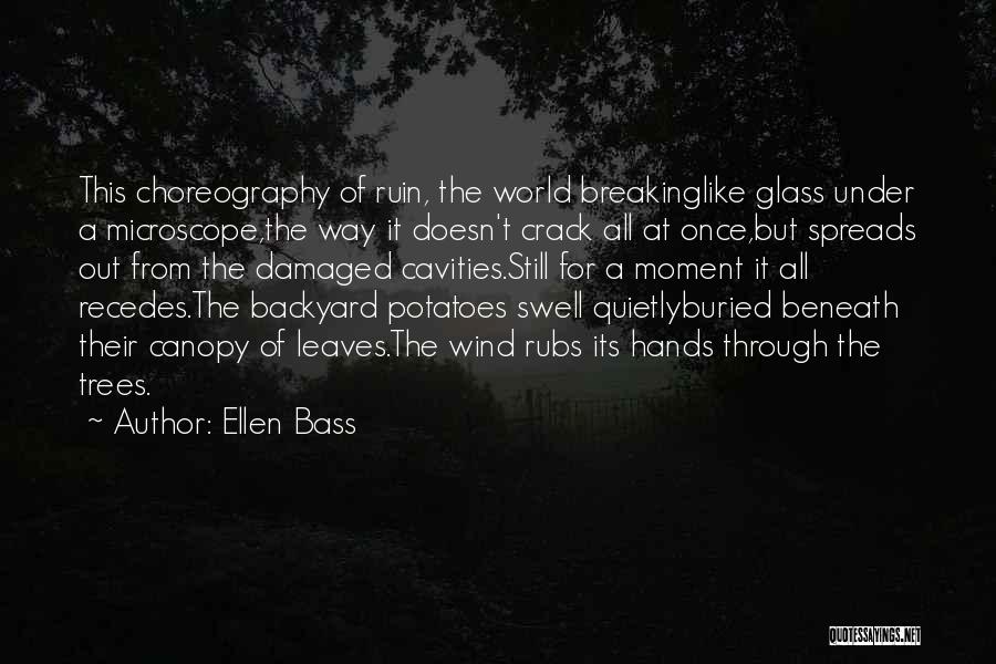 Ellen Bass Quotes: This Choreography Of Ruin, The World Breakinglike Glass Under A Microscope,the Way It Doesn't Crack All At Once,but Spreads Out