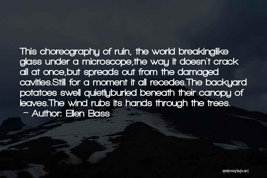 Ellen Bass Quotes: This Choreography Of Ruin, The World Breakinglike Glass Under A Microscope,the Way It Doesn't Crack All At Once,but Spreads Out