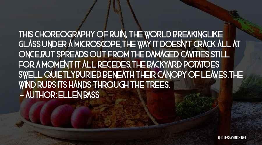 Ellen Bass Quotes: This Choreography Of Ruin, The World Breakinglike Glass Under A Microscope,the Way It Doesn't Crack All At Once,but Spreads Out