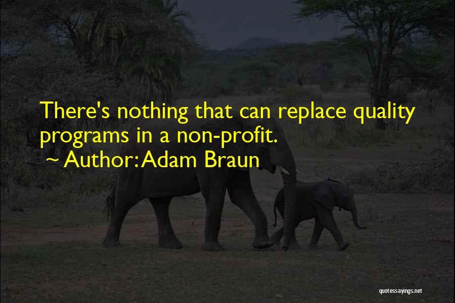 Adam Braun Quotes: There's Nothing That Can Replace Quality Programs In A Non-profit.