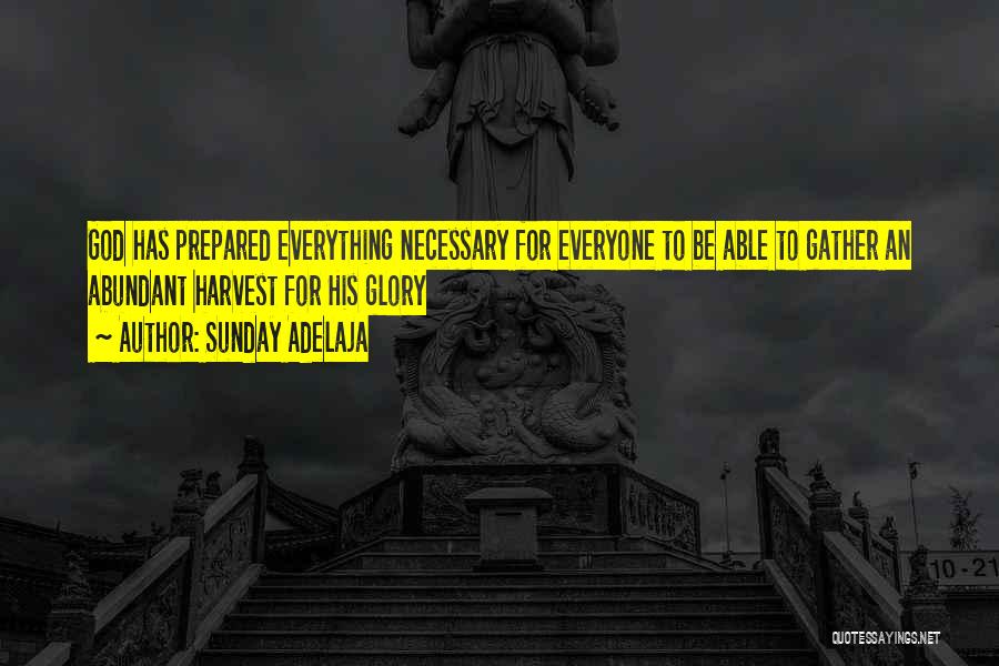 Sunday Adelaja Quotes: God Has Prepared Everything Necessary For Everyone To Be Able To Gather An Abundant Harvest For His Glory