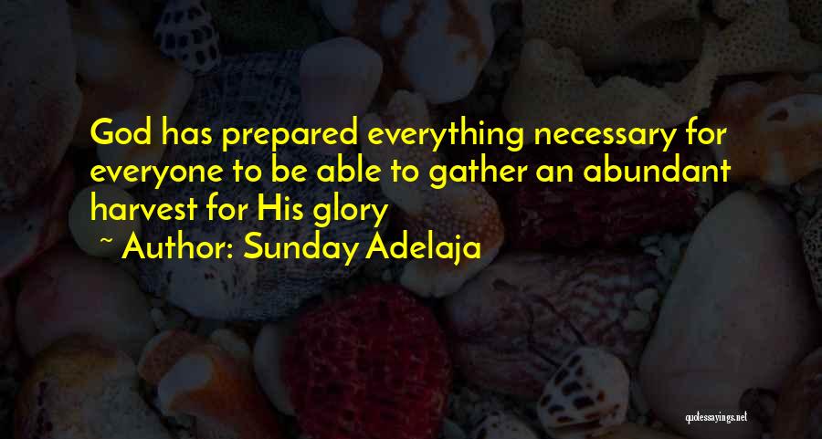 Sunday Adelaja Quotes: God Has Prepared Everything Necessary For Everyone To Be Able To Gather An Abundant Harvest For His Glory