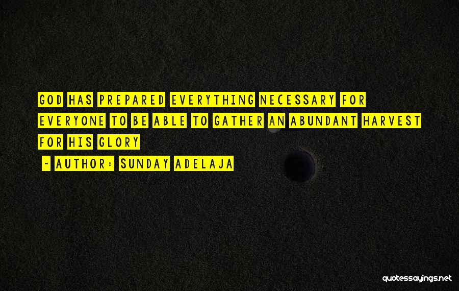 Sunday Adelaja Quotes: God Has Prepared Everything Necessary For Everyone To Be Able To Gather An Abundant Harvest For His Glory