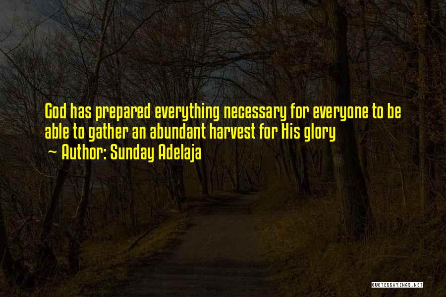 Sunday Adelaja Quotes: God Has Prepared Everything Necessary For Everyone To Be Able To Gather An Abundant Harvest For His Glory