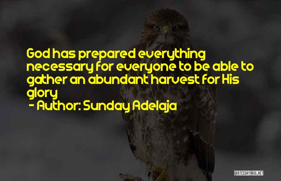 Sunday Adelaja Quotes: God Has Prepared Everything Necessary For Everyone To Be Able To Gather An Abundant Harvest For His Glory