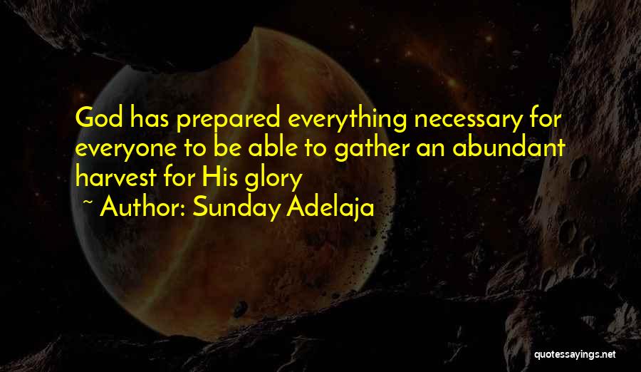 Sunday Adelaja Quotes: God Has Prepared Everything Necessary For Everyone To Be Able To Gather An Abundant Harvest For His Glory