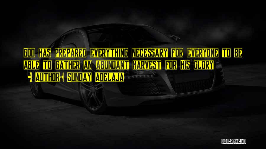 Sunday Adelaja Quotes: God Has Prepared Everything Necessary For Everyone To Be Able To Gather An Abundant Harvest For His Glory