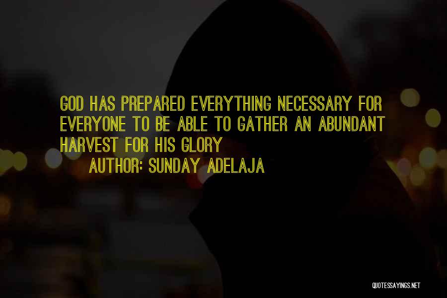 Sunday Adelaja Quotes: God Has Prepared Everything Necessary For Everyone To Be Able To Gather An Abundant Harvest For His Glory