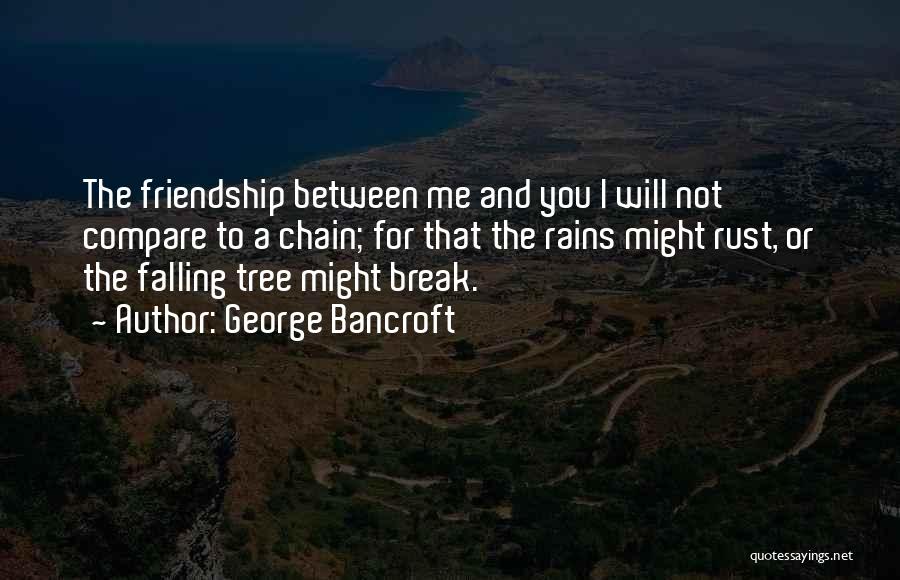 George Bancroft Quotes: The Friendship Between Me And You I Will Not Compare To A Chain; For That The Rains Might Rust, Or