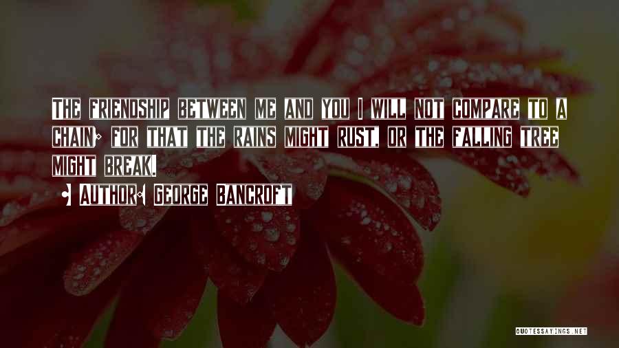 George Bancroft Quotes: The Friendship Between Me And You I Will Not Compare To A Chain; For That The Rains Might Rust, Or