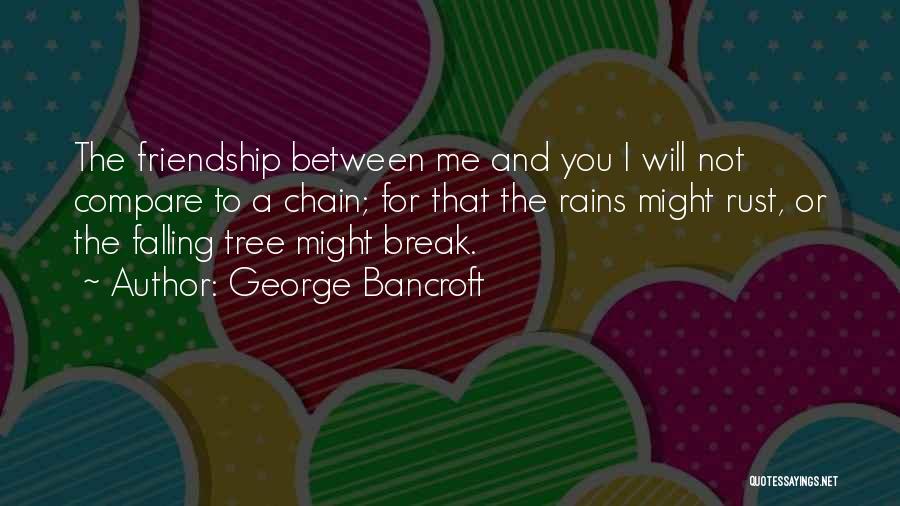 George Bancroft Quotes: The Friendship Between Me And You I Will Not Compare To A Chain; For That The Rains Might Rust, Or