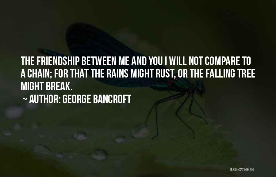 George Bancroft Quotes: The Friendship Between Me And You I Will Not Compare To A Chain; For That The Rains Might Rust, Or