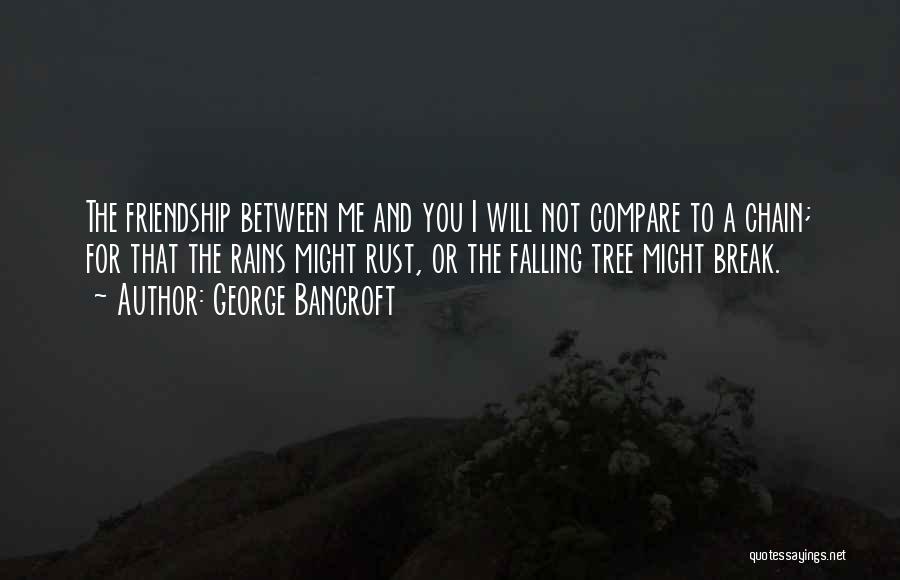 George Bancroft Quotes: The Friendship Between Me And You I Will Not Compare To A Chain; For That The Rains Might Rust, Or