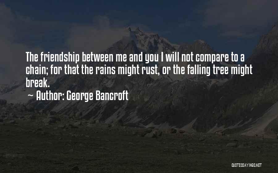 George Bancroft Quotes: The Friendship Between Me And You I Will Not Compare To A Chain; For That The Rains Might Rust, Or