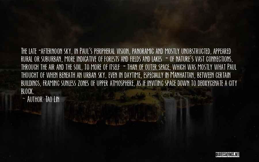 Tao Lin Quotes: The Late-afternoon Sky, In Paul's Peripheral Vision, Panoramic And Mostly Unobstructed, Appeared Rural Or Suburban, More Indicative Of Forests And