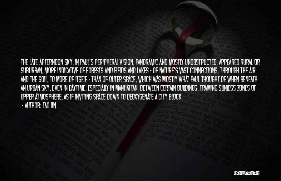 Tao Lin Quotes: The Late-afternoon Sky, In Paul's Peripheral Vision, Panoramic And Mostly Unobstructed, Appeared Rural Or Suburban, More Indicative Of Forests And