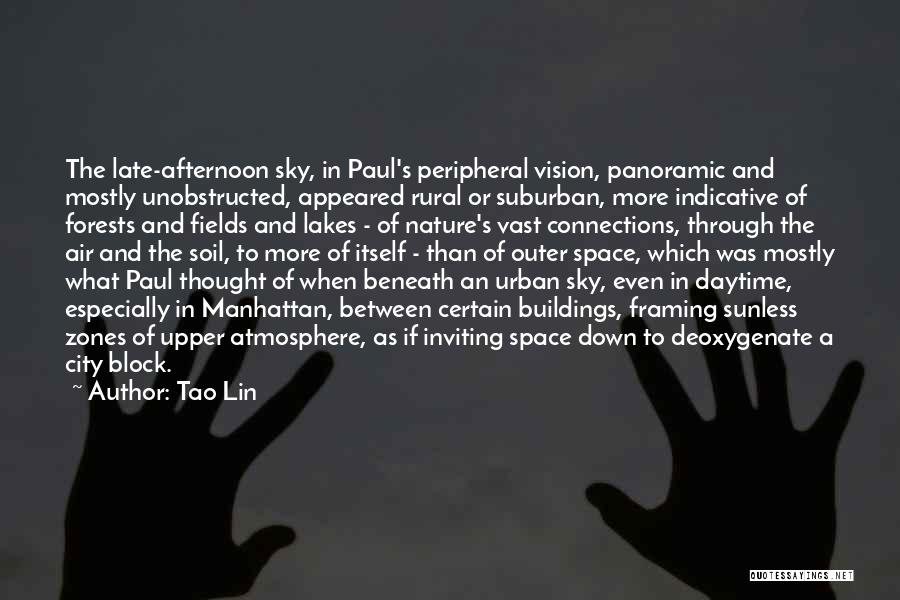 Tao Lin Quotes: The Late-afternoon Sky, In Paul's Peripheral Vision, Panoramic And Mostly Unobstructed, Appeared Rural Or Suburban, More Indicative Of Forests And