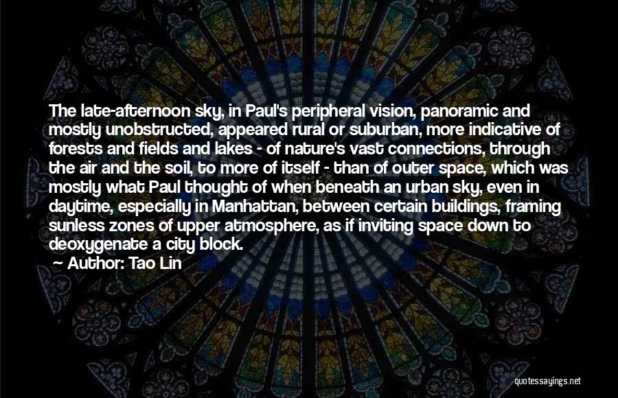 Tao Lin Quotes: The Late-afternoon Sky, In Paul's Peripheral Vision, Panoramic And Mostly Unobstructed, Appeared Rural Or Suburban, More Indicative Of Forests And