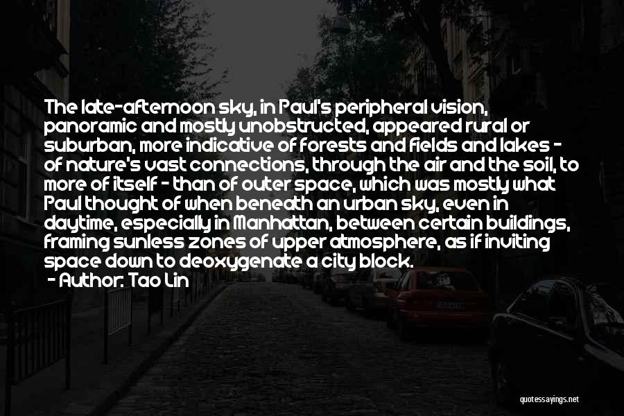 Tao Lin Quotes: The Late-afternoon Sky, In Paul's Peripheral Vision, Panoramic And Mostly Unobstructed, Appeared Rural Or Suburban, More Indicative Of Forests And