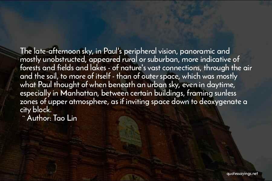 Tao Lin Quotes: The Late-afternoon Sky, In Paul's Peripheral Vision, Panoramic And Mostly Unobstructed, Appeared Rural Or Suburban, More Indicative Of Forests And