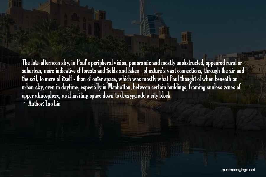 Tao Lin Quotes: The Late-afternoon Sky, In Paul's Peripheral Vision, Panoramic And Mostly Unobstructed, Appeared Rural Or Suburban, More Indicative Of Forests And