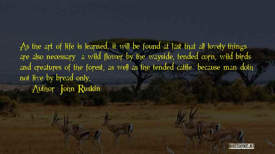 John Ruskin Quotes: As The Art Of Life Is Learned, It Will Be Found At Last That All Lovely Things Are Also Necessary;