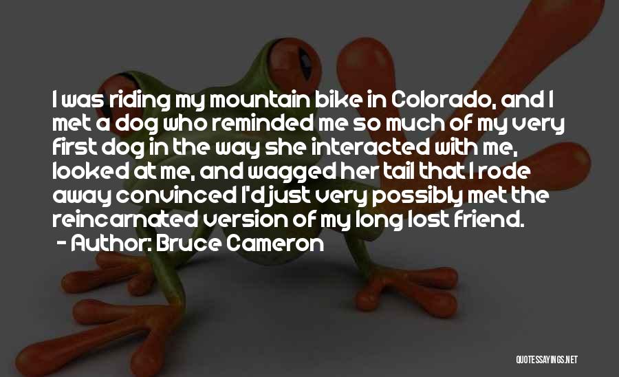 Bruce Cameron Quotes: I Was Riding My Mountain Bike In Colorado, And I Met A Dog Who Reminded Me So Much Of My