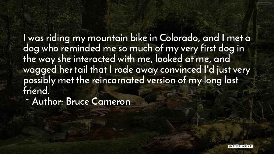 Bruce Cameron Quotes: I Was Riding My Mountain Bike In Colorado, And I Met A Dog Who Reminded Me So Much Of My