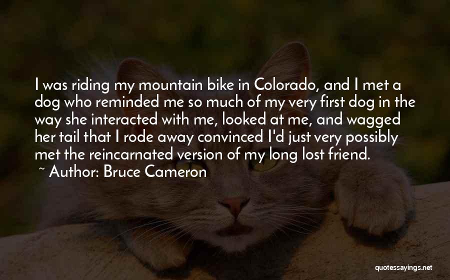 Bruce Cameron Quotes: I Was Riding My Mountain Bike In Colorado, And I Met A Dog Who Reminded Me So Much Of My