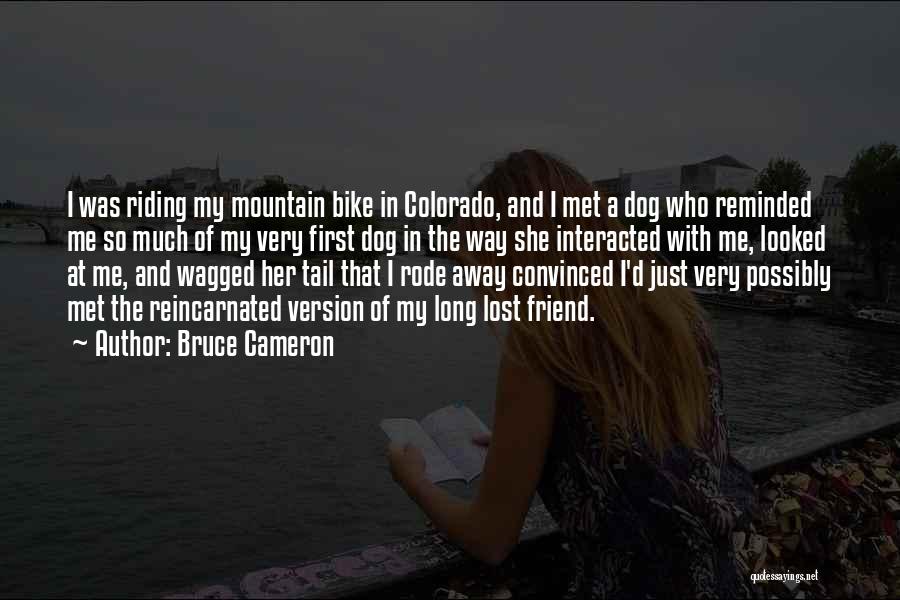 Bruce Cameron Quotes: I Was Riding My Mountain Bike In Colorado, And I Met A Dog Who Reminded Me So Much Of My