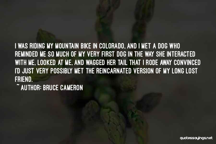 Bruce Cameron Quotes: I Was Riding My Mountain Bike In Colorado, And I Met A Dog Who Reminded Me So Much Of My