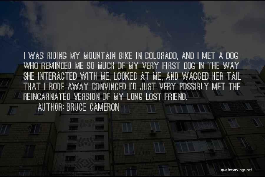 Bruce Cameron Quotes: I Was Riding My Mountain Bike In Colorado, And I Met A Dog Who Reminded Me So Much Of My