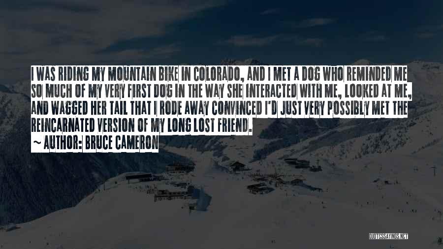 Bruce Cameron Quotes: I Was Riding My Mountain Bike In Colorado, And I Met A Dog Who Reminded Me So Much Of My