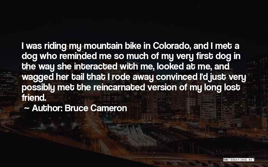 Bruce Cameron Quotes: I Was Riding My Mountain Bike In Colorado, And I Met A Dog Who Reminded Me So Much Of My