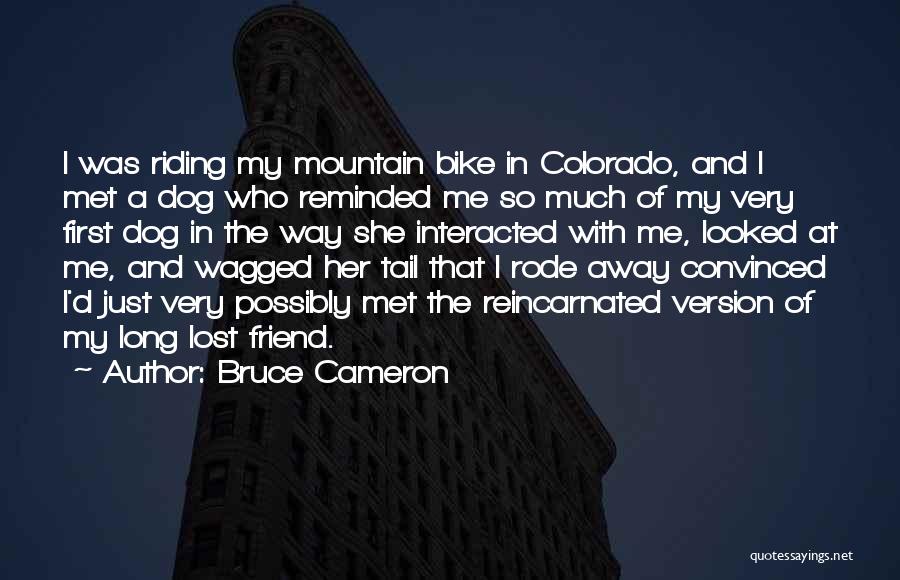 Bruce Cameron Quotes: I Was Riding My Mountain Bike In Colorado, And I Met A Dog Who Reminded Me So Much Of My