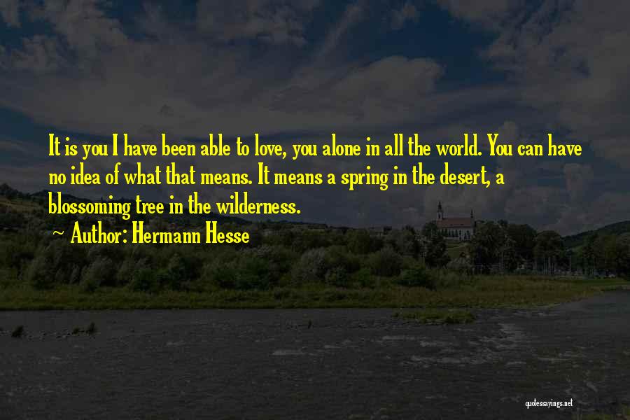 Hermann Hesse Quotes: It Is You I Have Been Able To Love, You Alone In All The World. You Can Have No Idea