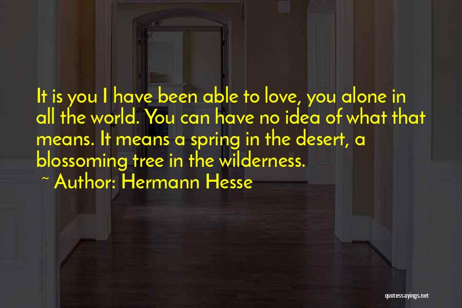 Hermann Hesse Quotes: It Is You I Have Been Able To Love, You Alone In All The World. You Can Have No Idea