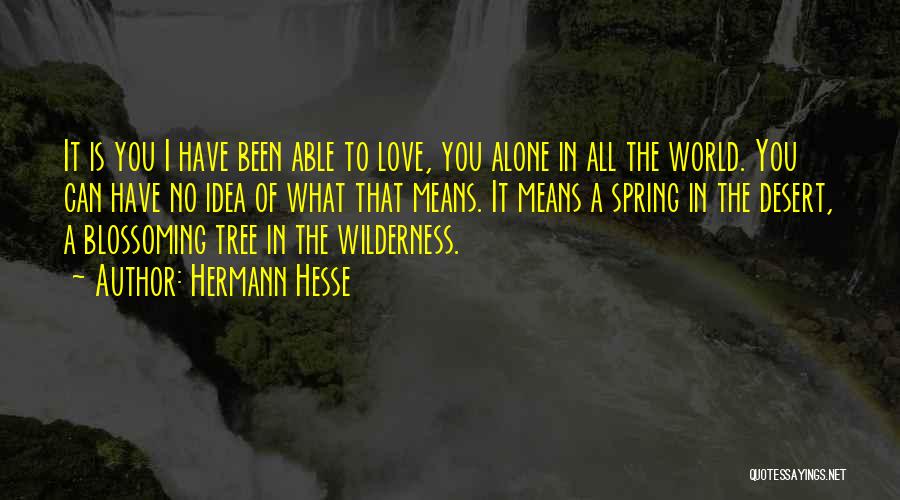 Hermann Hesse Quotes: It Is You I Have Been Able To Love, You Alone In All The World. You Can Have No Idea