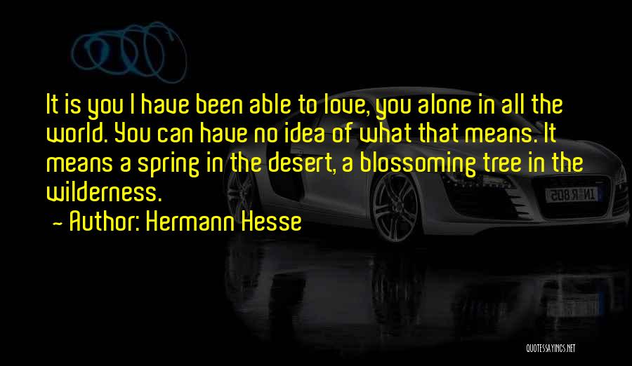 Hermann Hesse Quotes: It Is You I Have Been Able To Love, You Alone In All The World. You Can Have No Idea