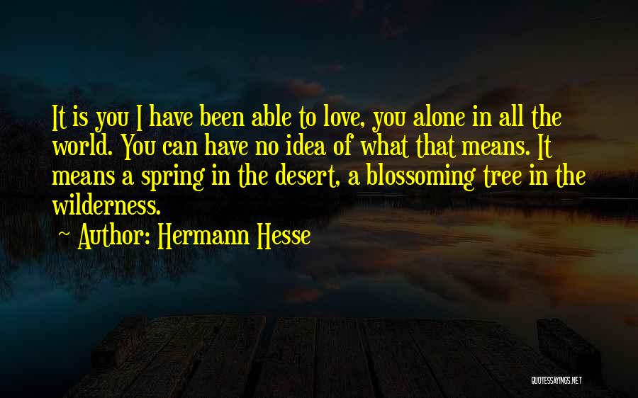 Hermann Hesse Quotes: It Is You I Have Been Able To Love, You Alone In All The World. You Can Have No Idea